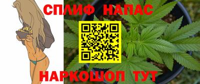 стафф Новозыбков
