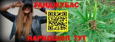 стафф Новозыбков