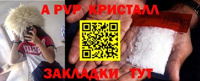 стафф Новозыбков