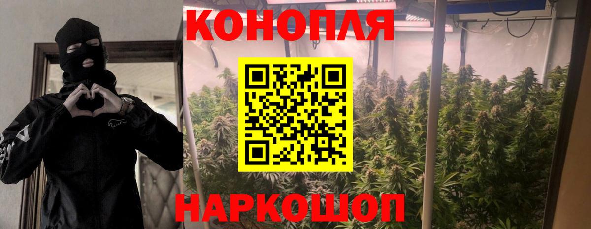 Тосно  Каннабис сатива  Бошки Шишки конопля  Вход с VPN  Марихуана план 